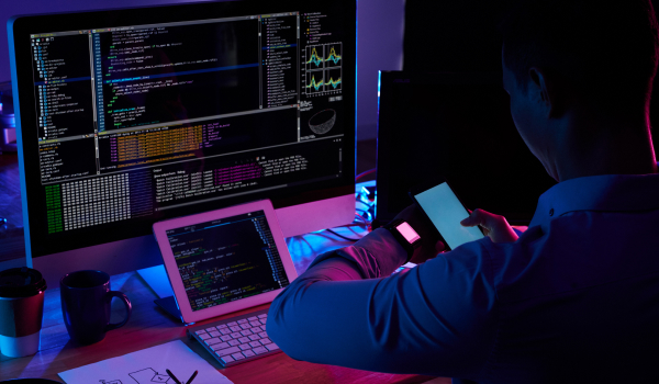 web developement